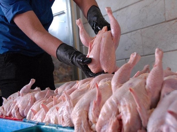 توزیع گوشت مرغ به نرخ مصوب در خراسان رضوی آغاز شد