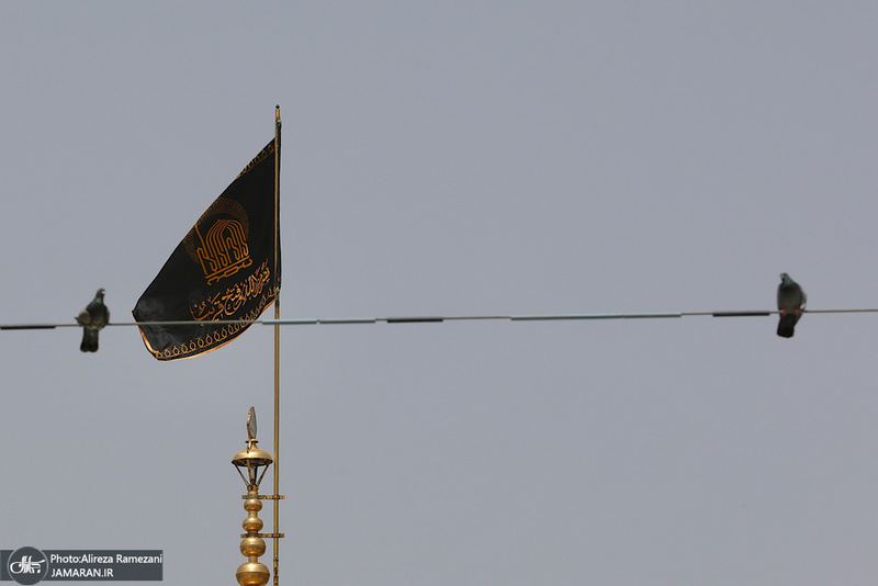 ظهر شهادت امام رضا (ع)