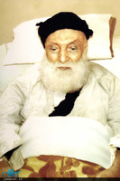 سید حسین بروجردی