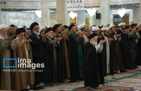 تصاویر آیت‌الله العظمی «سید موسی شبیری زنجانی» (16)