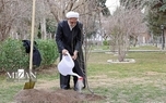 محسنی‌اژه‌ای، یک اصله نهال غرس کرد + عکس