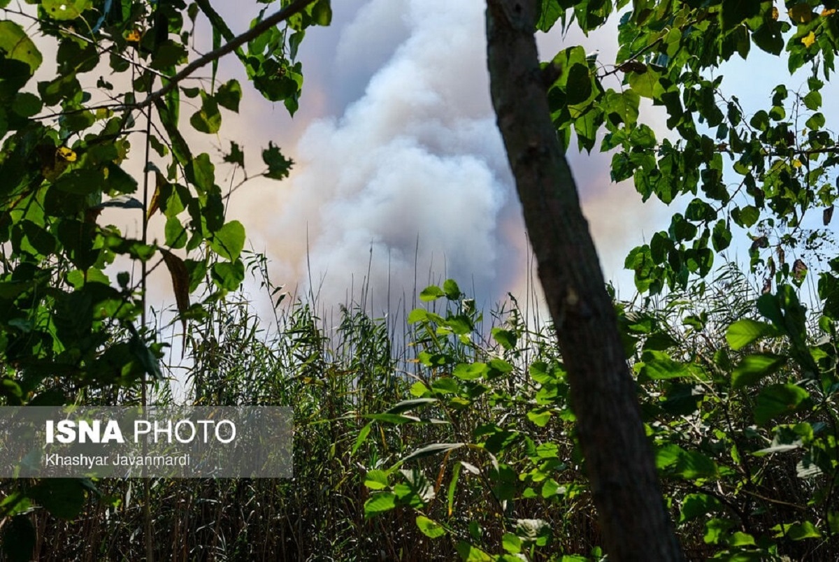 آتش سوزی گسترده در تالاب انزلی + فیلم و تصاویر