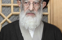 تصاویر آیت‌الله العظمی «سید موسی شبیری زنجانی» (21)