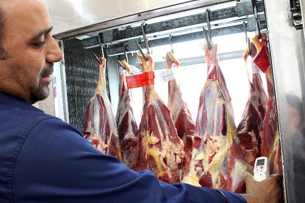 بیش از یک میلیون کیلوگرم گوشت دام وارد بازار زنجان شد