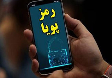 چه کسانی باید رمز دوم پویا را فعال کنند؟