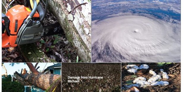 30 کشته و صدها زخمی و ناپدید در طوفان مایکل/ صف های طولانی برای دریافت غذا+ تصاویر