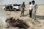 کومه های صید پرندگان شکاری منطقه مند بوشهر تخریب شد