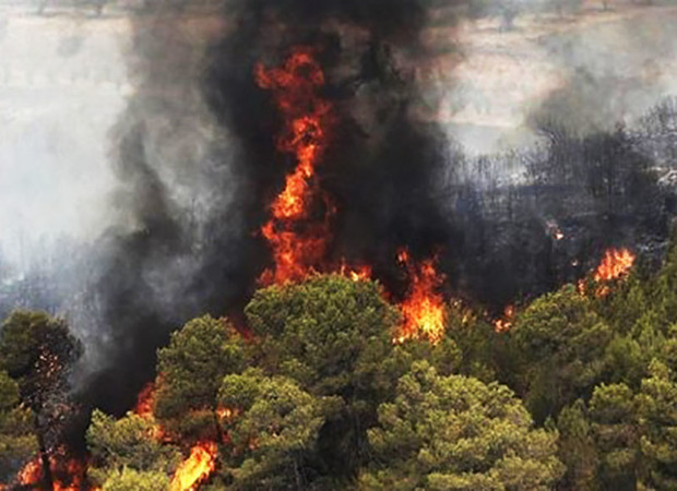 استفاده از داده های فضایی و اینترنت برای مهار آتش در جنگل گلستان