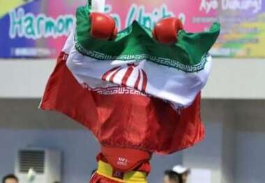 شرکت چهار ووشوکار زنجانی در مسابقات بین المللی جام پارس