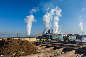 شوق شیرین تولید شکر / کارگران تولید قند و شکر