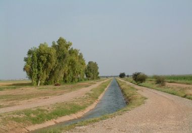 ۵۲ هزار هکتار از اراضی دشت سیستان آبیاری شد