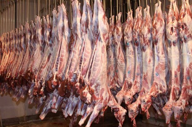افزایش قیمت گوشت گرم گوسفندی در زنجان با تب کرونا