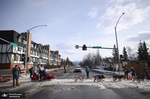 منتخب تصاویر امروز جهان - 13 اسفند 1403