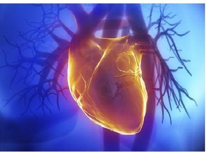 ایران ششمین کشور دارنده دانش فنی ساخت دستگاه تصویربرداری از قلب