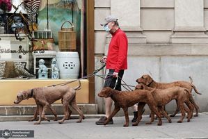 منتخب تصاویر امروز جهان- 30 اردیبهشت