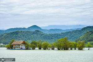 منتخب تصاویر امروز جهان- 7 مرداد