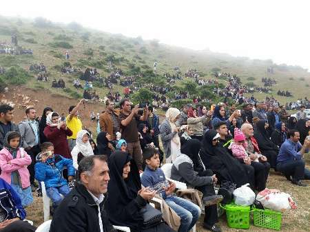 برگزاری جشنواره دشت شقایق هادرکالپوش باحضور6هزار علاقمند