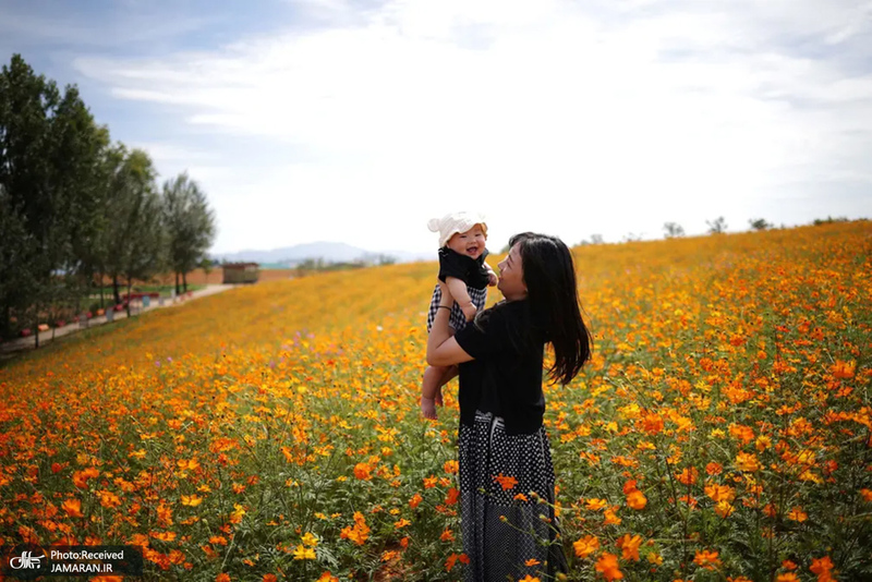 منتخب تصاویر امروز جهان - 26 شهریور 1401