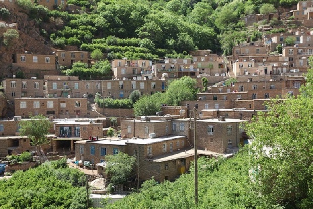 روستای سالم بسترساز مهاجرت معکوس و جذب گردشگر- **فرزاد نویدی