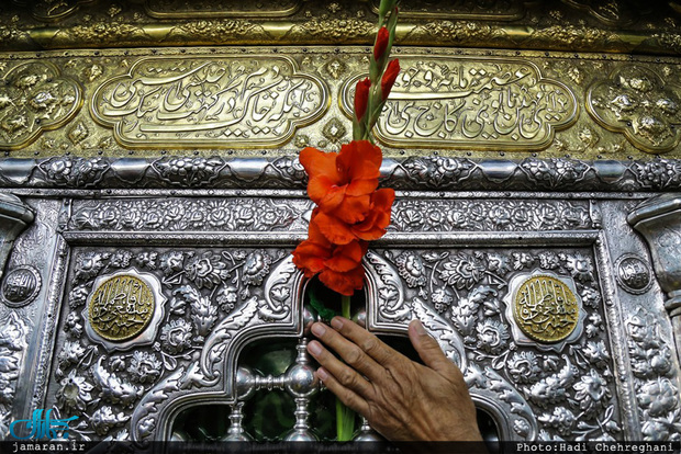 عالمه غیر متعلمه؛ ویژگی بانویی در ردیف معصومین(ع)