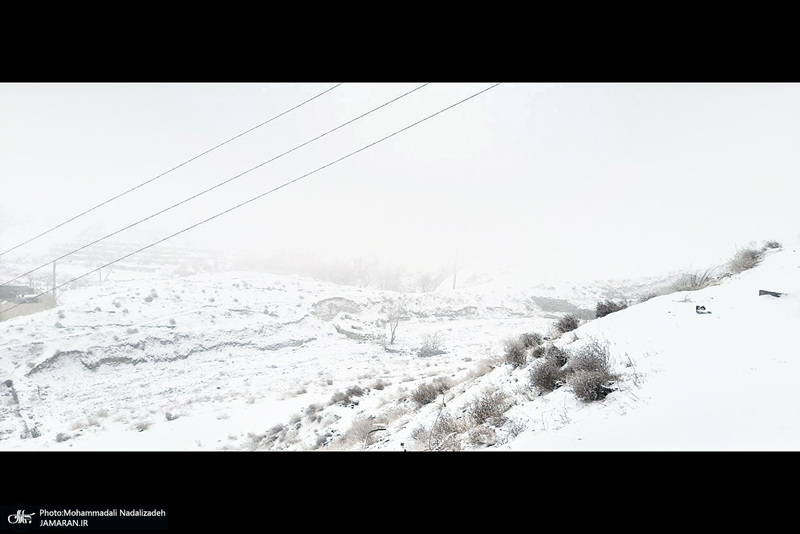 برف و مه در تهران - 21 دیماه 1401