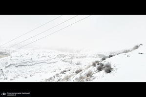 برف و مه در تهران - 21 دیماه 1401