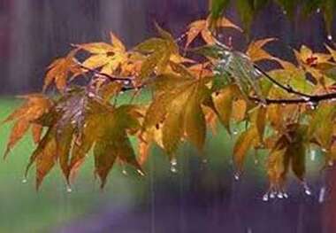 کاهش 27 درصدی بارش در گلستان