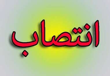 انتصاب مدیرکل سابق فرهنگ و ارشاد اسلامی یزد در امور استانهای وزارتخانه