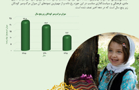بررسی تحولات جامعه زنان ایران (سلامت و بهداشت)