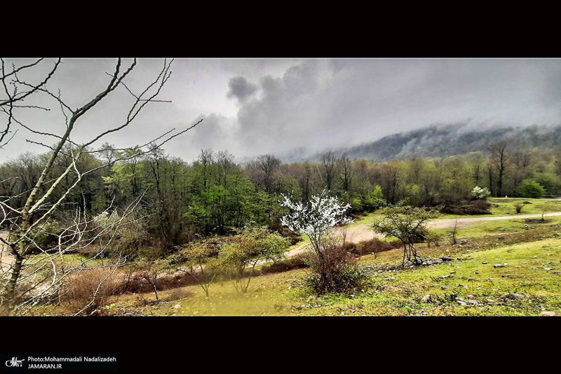 دریاچه آویدر نوشهر