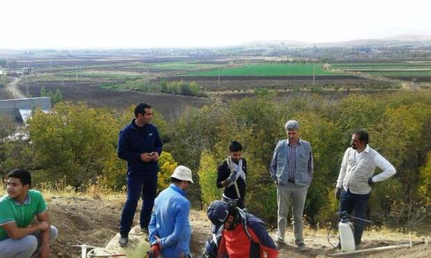 لزوم اجرای فصل دوم کاوش در تپه گریران سلسله