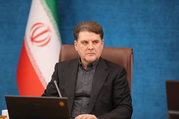 واکنش سخنگوی وزارت کشور به ماجرای محاکمه خیابانی «حسن روحانی» در یکی از تجمعات شبانه 