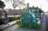 جشنواره (10)