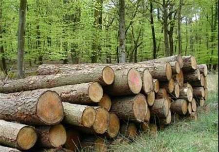 تعیین تکلیف طرح های جنگلداری حوزه منابع طبیعی غرب مازندران تا پایان امسال
