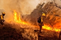 آتش‌ سوزی پرتغال و اسپانیا