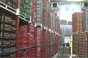 ۴۰ هزار تن سیب در سردخانه‌های آذربایجان‌غربی فاسد شد