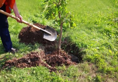 بوستان روستای علی آبادو دامغان افتتاح شد