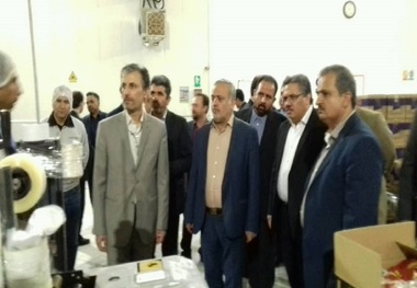 معاون وزیر صنعت از یک واحد تولیدی در قزوین بازدید کرد