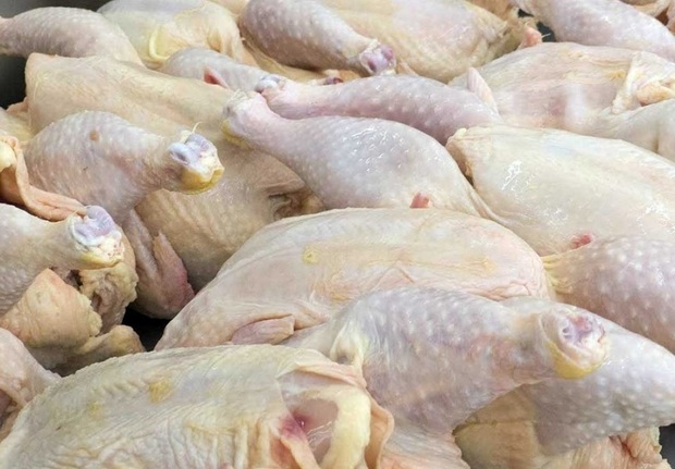 قیمت گوشت مرغ در مازندران کاهشی شد