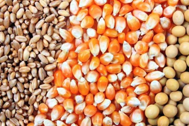 صادرات 18 قلم کالای داخلی از هرمزگان ممنوع شد