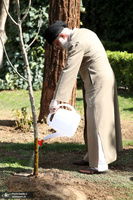 کاشت نهال در هفته منابع طبیعی توسط رهبر معظم انقلاب