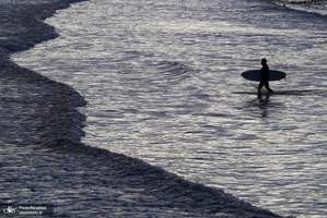 منتخب تصاویر امروز جهان- 3 آبان