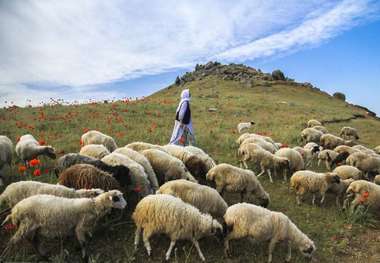 عید قربان، جشنی به رنگ حنا و نارنج در فرهنگ گیلان قدیم