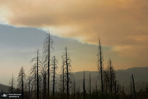 منتخب تصاویر امروز جهان - 22 تیر 1401