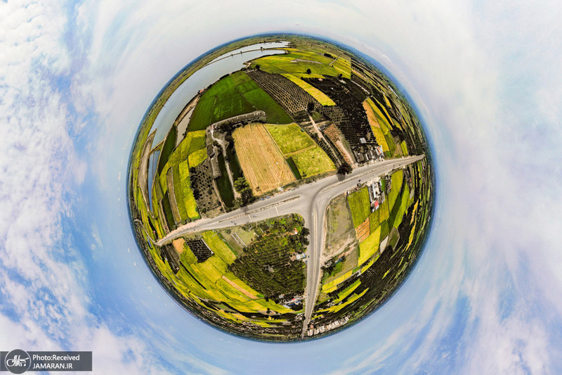 منتخب تصاویر امروز جهان- 12 مرداد