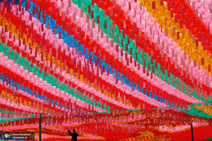  منتخب تصاویر امروز جهان- 8 اردیبهشت 1400 