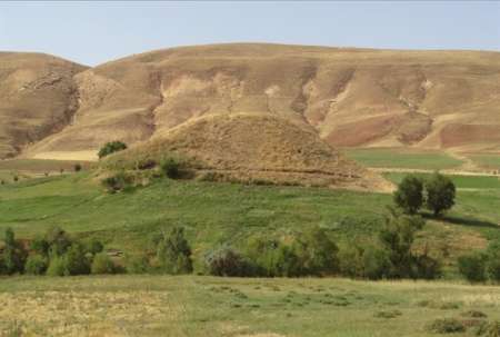 جنگل کاری اقتصادی راهی مناسب برای بهبود معیشت جوامع روستایی