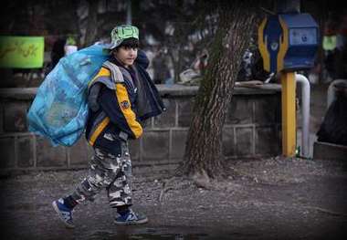 فروش ماهی قرمز به نام کودکان کار و دور از چشم ناظران