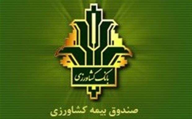 غرامت محصولات باغی و زراعی در آذربایجان‌شرقی پرداخت شد