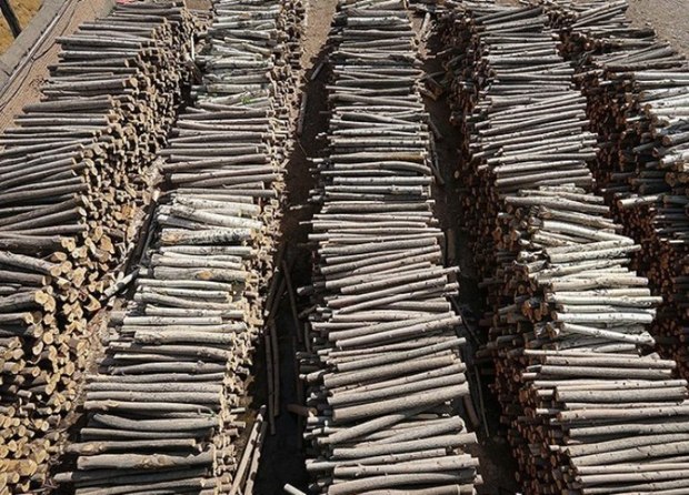 70 کارگاه غیرمجاز تولید زغال در فارس پلمب شد